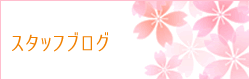 スタッフブログ